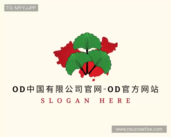 知道OD体育官网